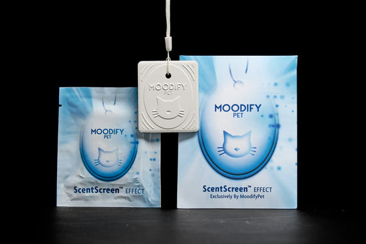 Pet Cat Litter Box Smell Remover Eliminator