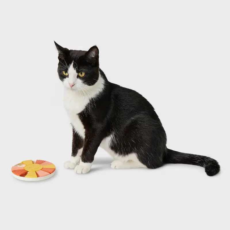 Interactive Cat Treat Puzzle Toy Mental Stimulation