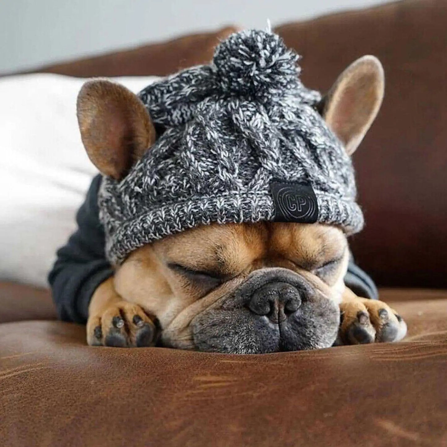 Winter Warm Dog Windproof Knitting Fluffy Ball Hat