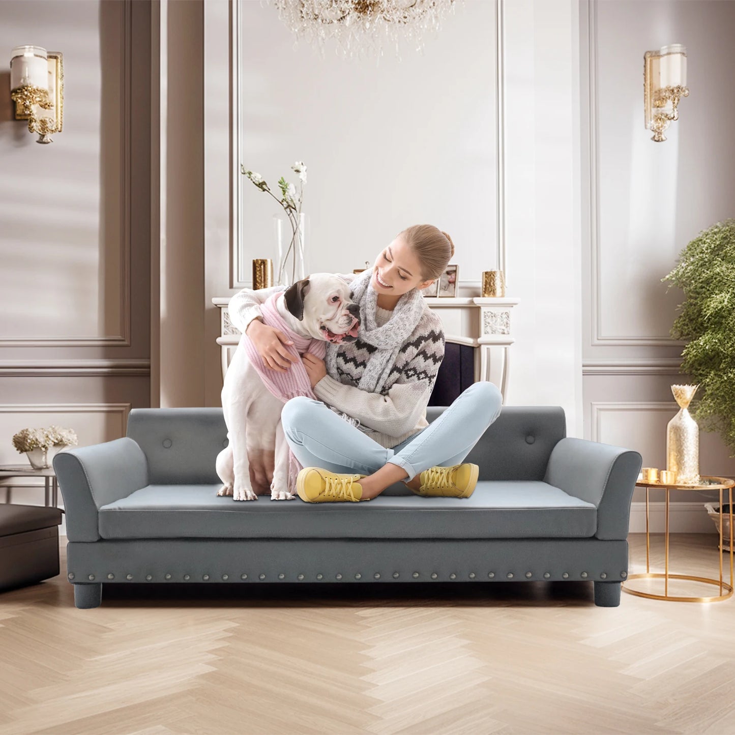 Durable Elevated Dog Sofa Bed, Comfortable Couch