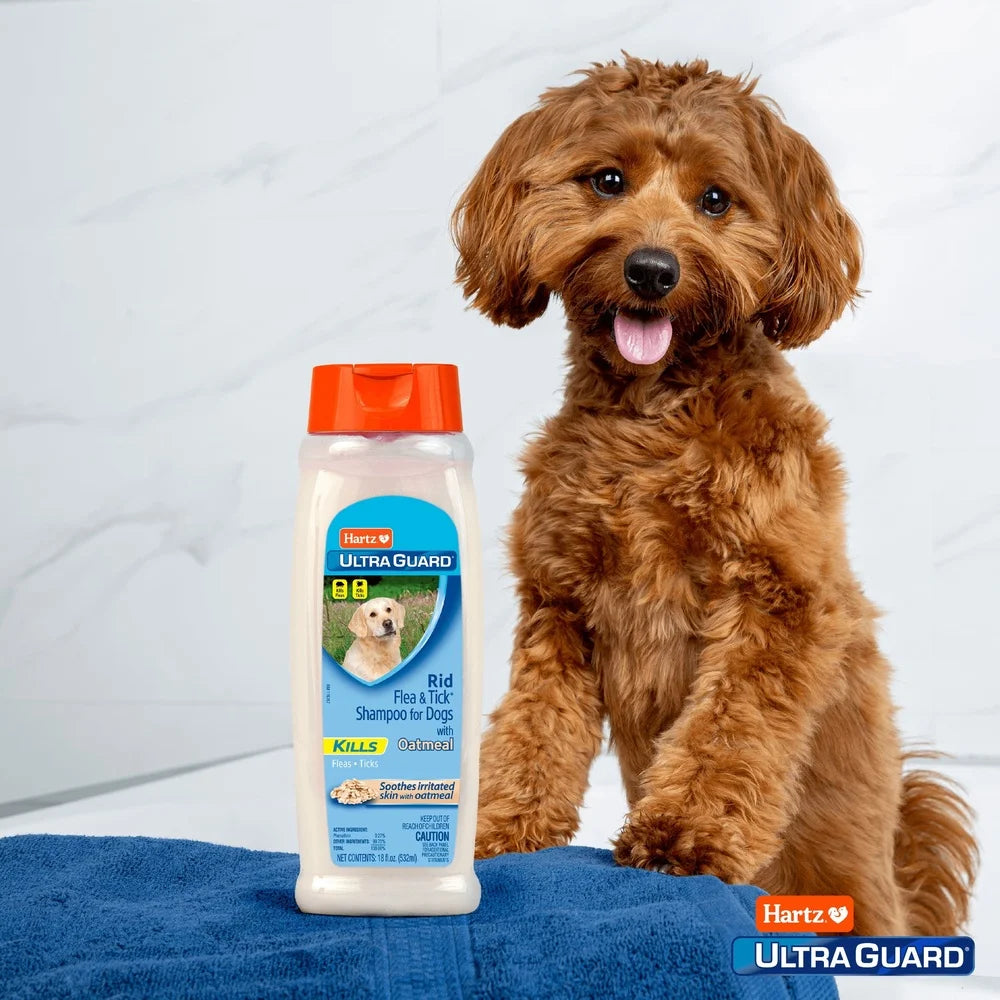 UltraGuard Flea Tick Oatmeal Shampoo Dogs 3 Pack