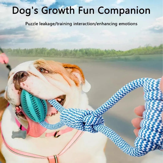 Pet Toy Ball - Braided Rope, Fetch & Tug Play