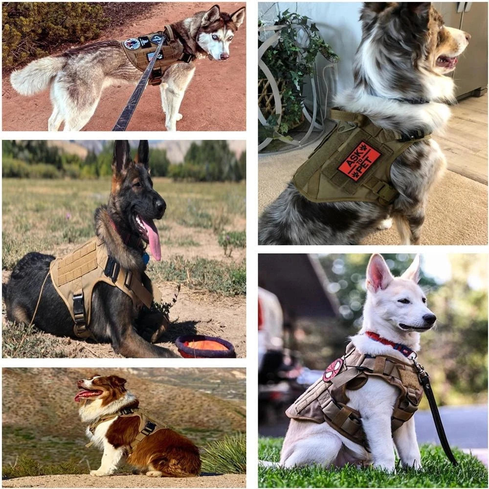 Leash Set Camouflage Dog Harness