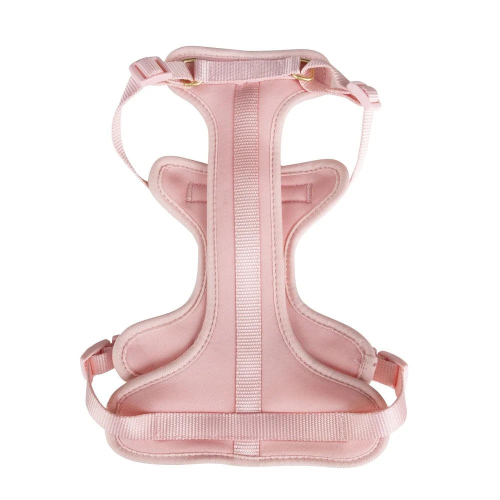 Adjustable Neoprene Dog Harness XS Soft Comfortable Fit