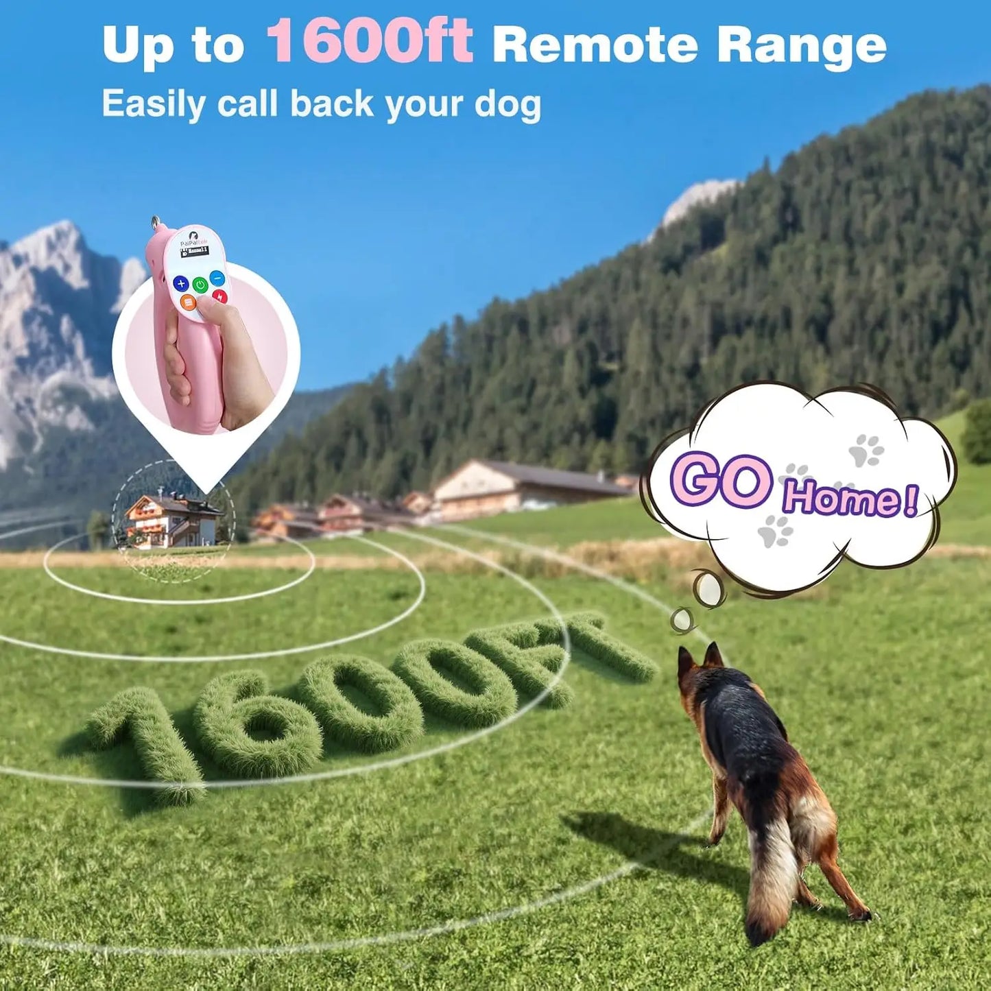 Dog Shock Collar & No-Pull Leash Set