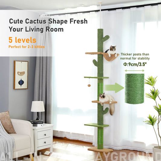 Floor to Ceiling/Tower/Cactus/Scratching Post/Hammock/Dangling Ball