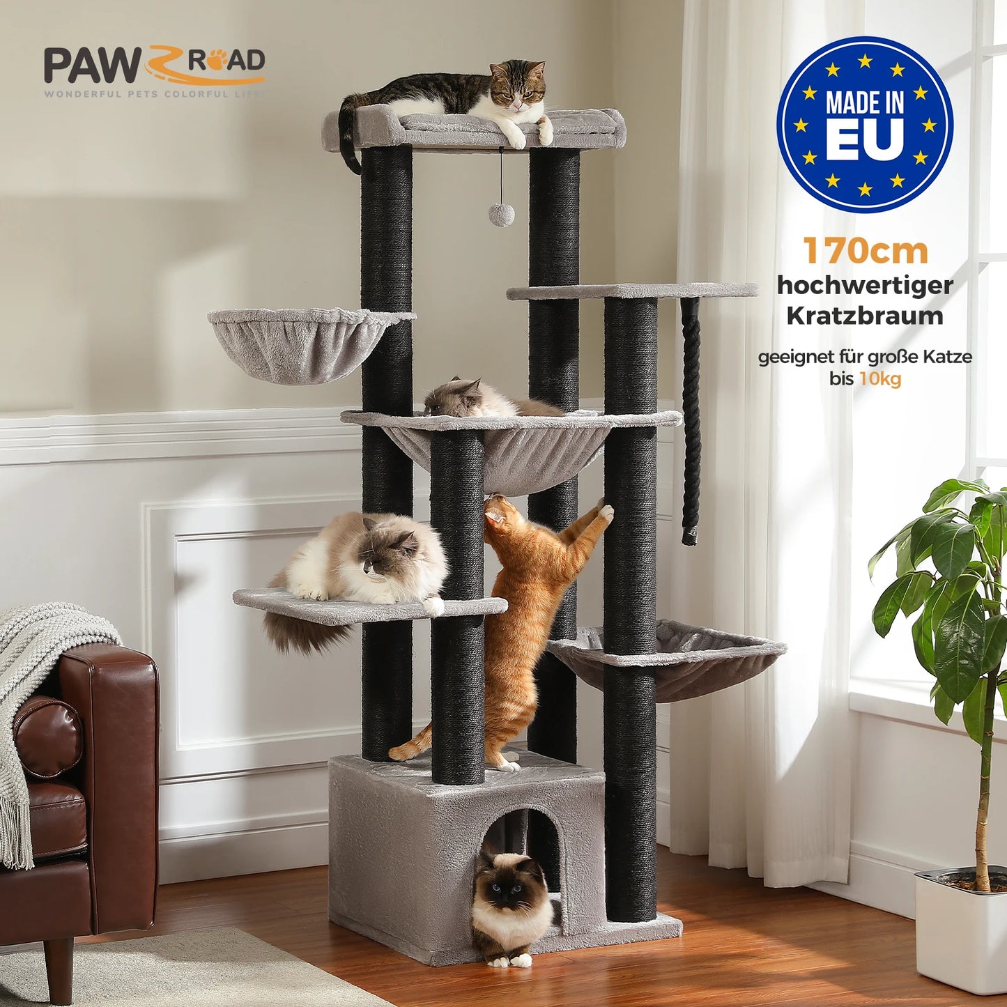Large Cats, Tower with Several Levels, Hammock, Perch