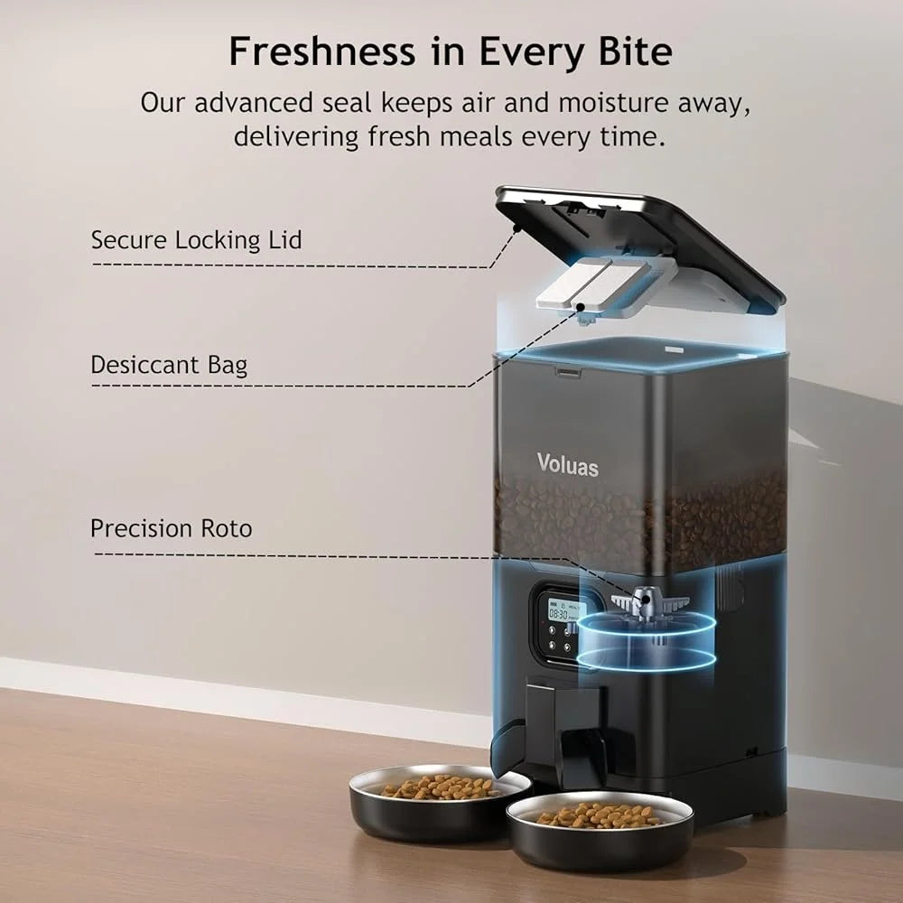 Automatic Double Pet Feeder with 2 Stainless Steel Bowls