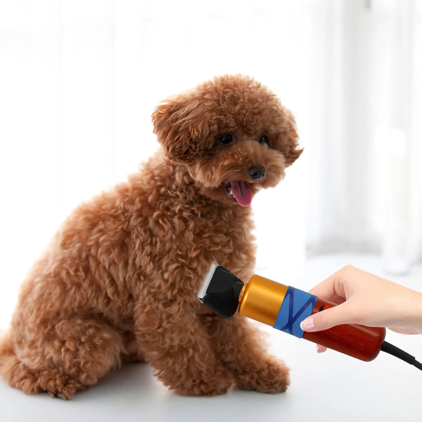Pet Hair Clipper Low Noise High-efficiency Variable Speed