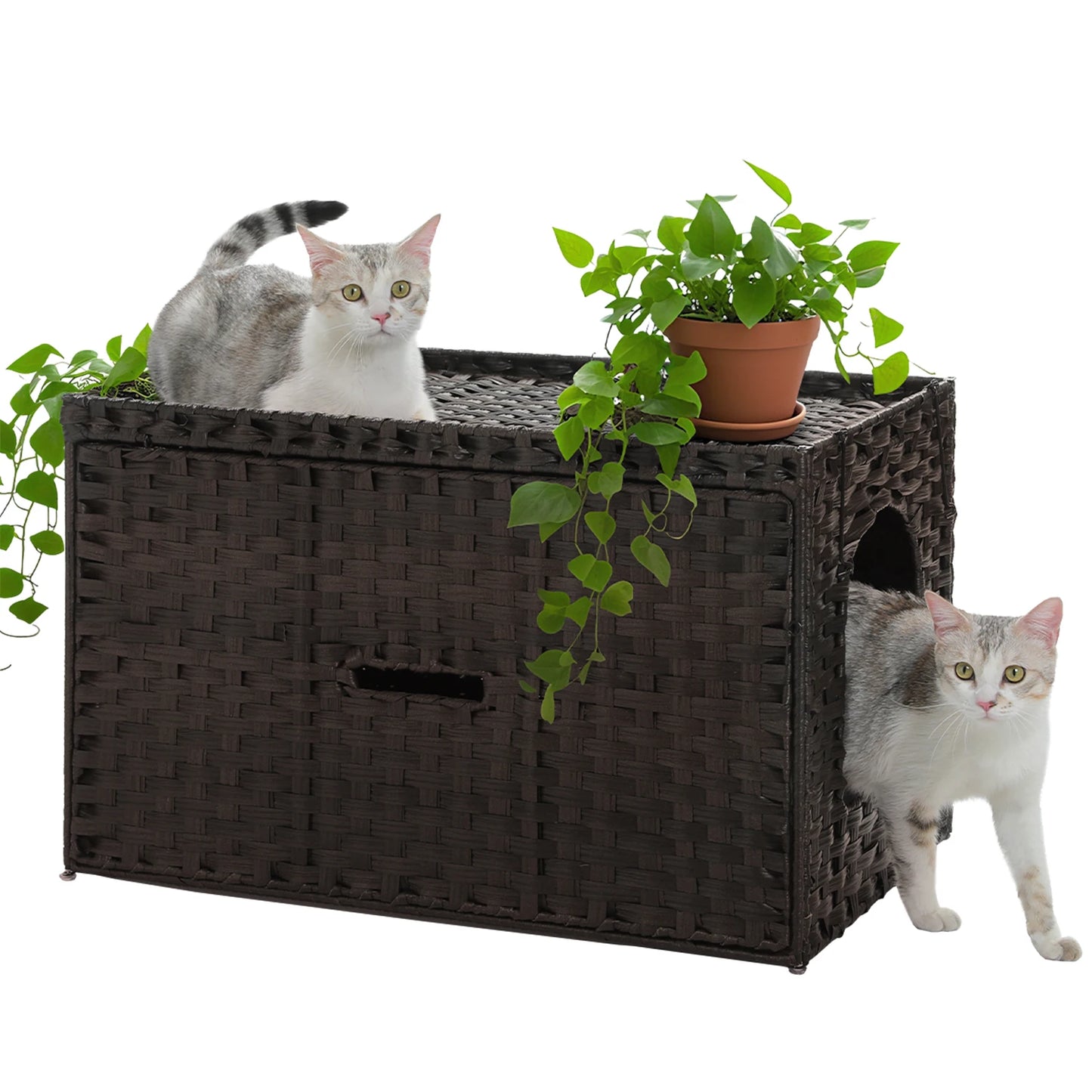 Rattan Cat Litter Box Enclosure: Taller Doorway