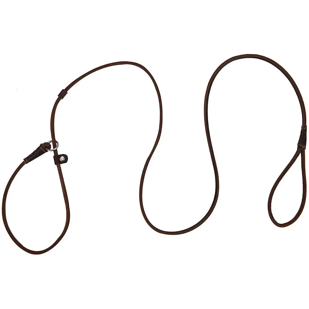 Genuine Adjustable Leather Slip Dog Leash Lightweight