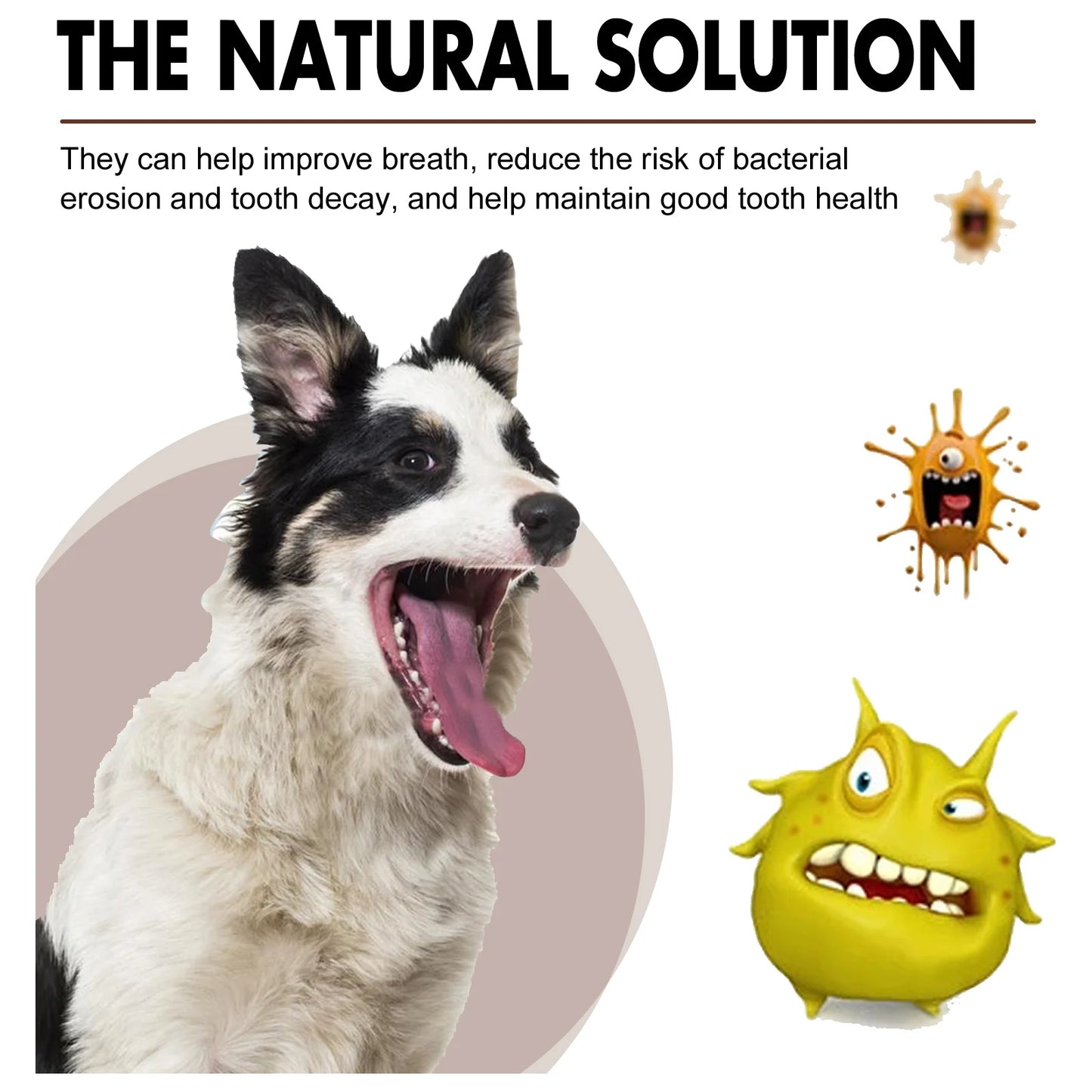Dental Cleaning Spray Remove Plaque Tartar Freshen Bad Breath