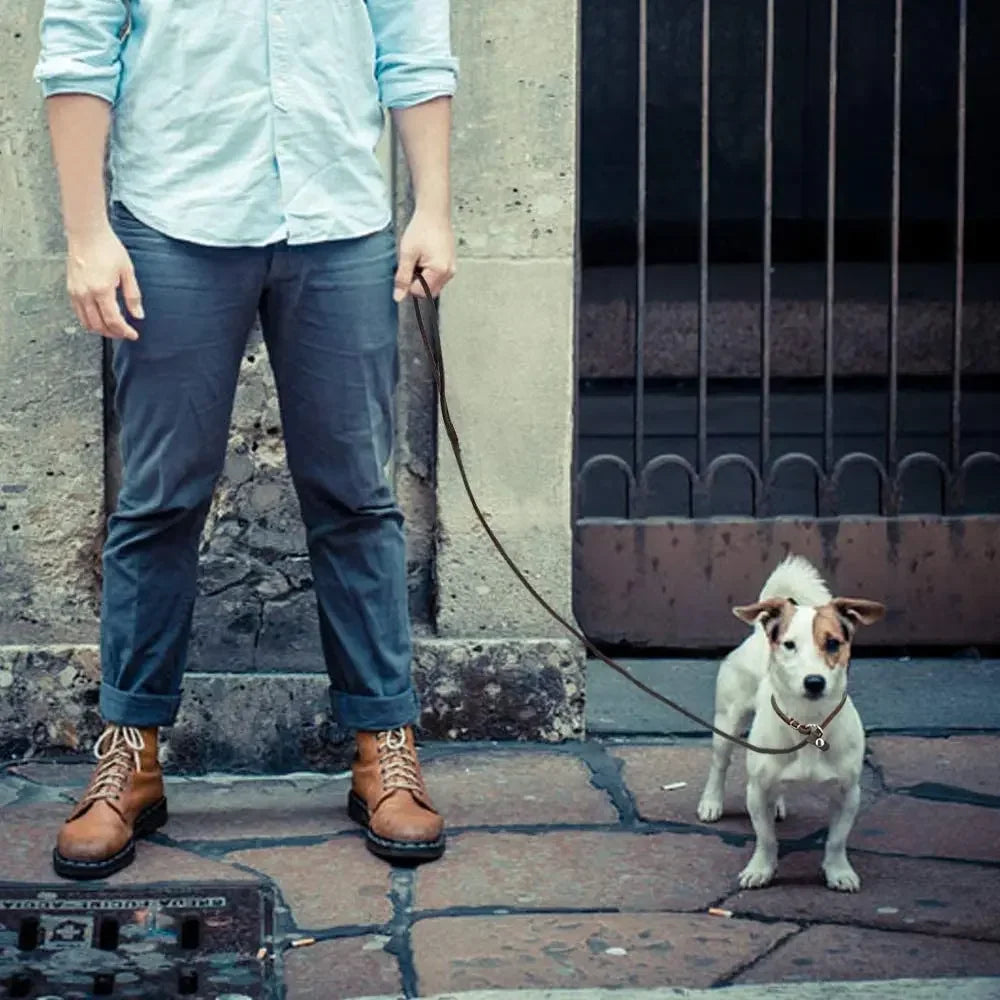 Genuine Adjustable Leather Slip Dog Leash Lightweight