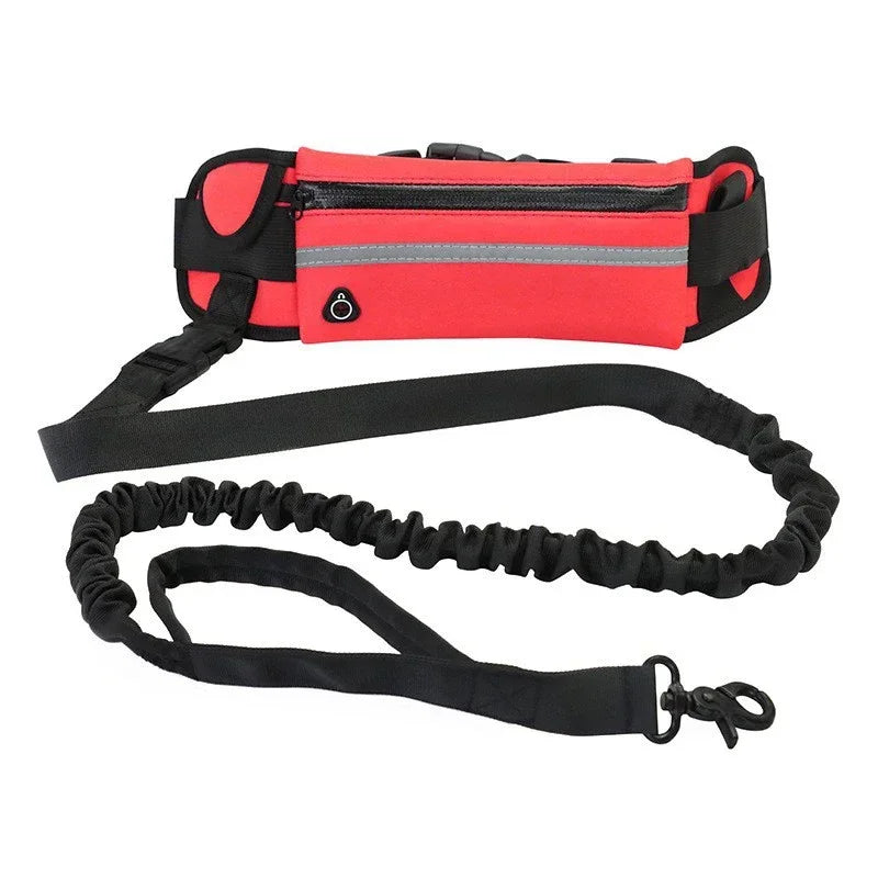 Hands Free Leash Reflective Waist Bag Retractable