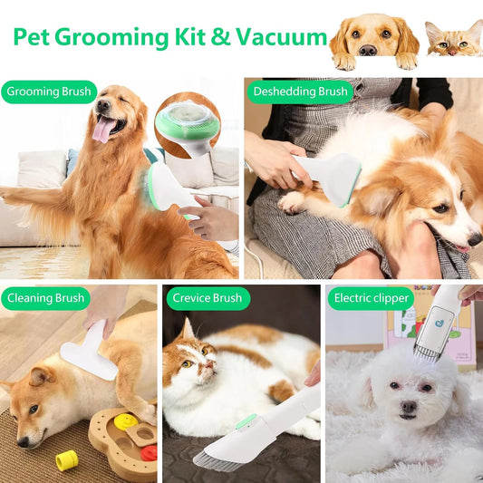 Pet Grooming Kit with 2L Vacuum 5 Grooming Tools For Pets