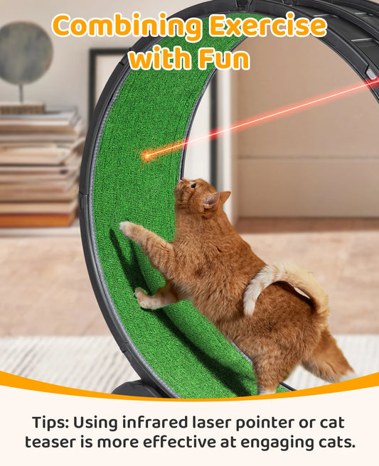 Cat Exercise Treadmill Wheel with Carpeted Runway