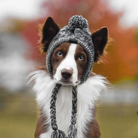 Winter Warm Dog Windproof Knitting Fluffy Ball Hat