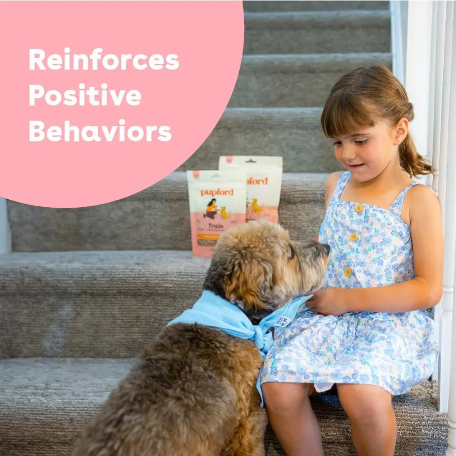 Soft and Chewy Training Treats for Dogs and Puppies