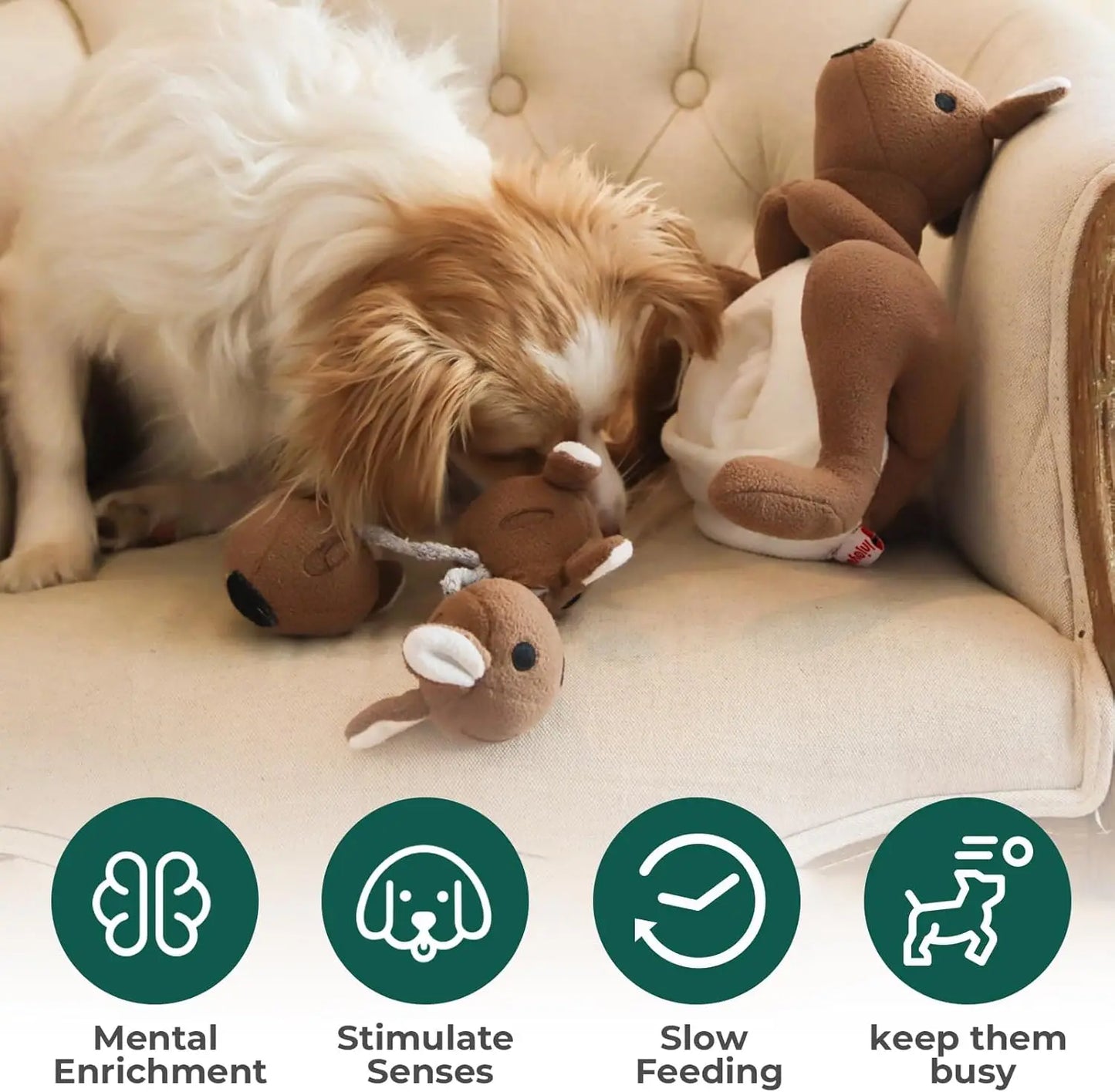 Interactive Kangaroo with Squeaker & Treat Pouch