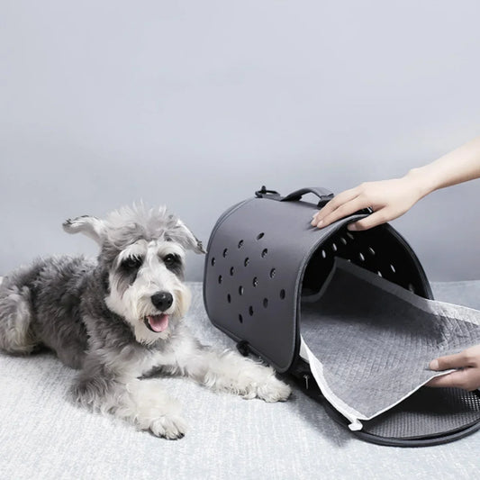 100/50/40/20PCS Absorbent Disposable Training Pee Pads Bamboo Charcoal