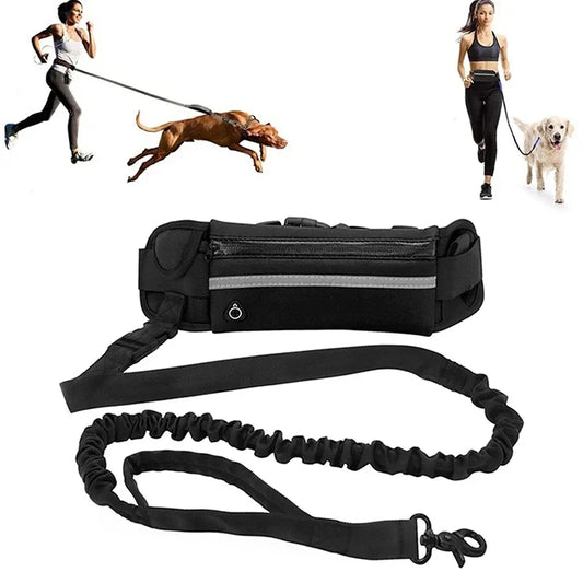 Hands Free Leash Reflective Waist Bag Retractable