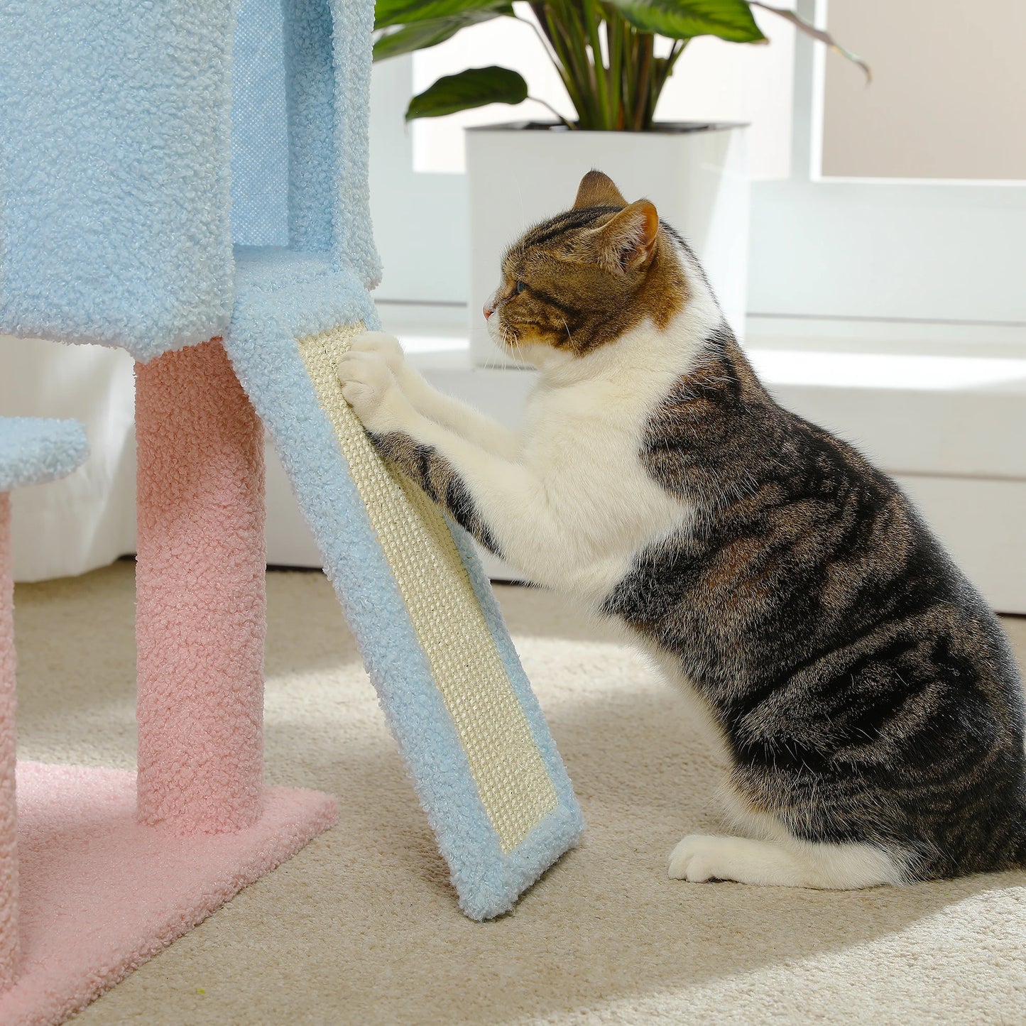Multi-Level Sisal Covered Scratching Posts Condo Top Perch