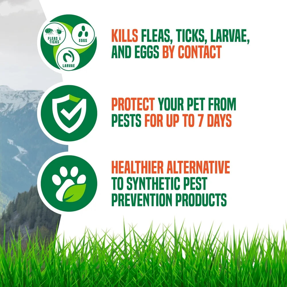 Natural Flea Tick Shampoo Dogs Essential Oils
