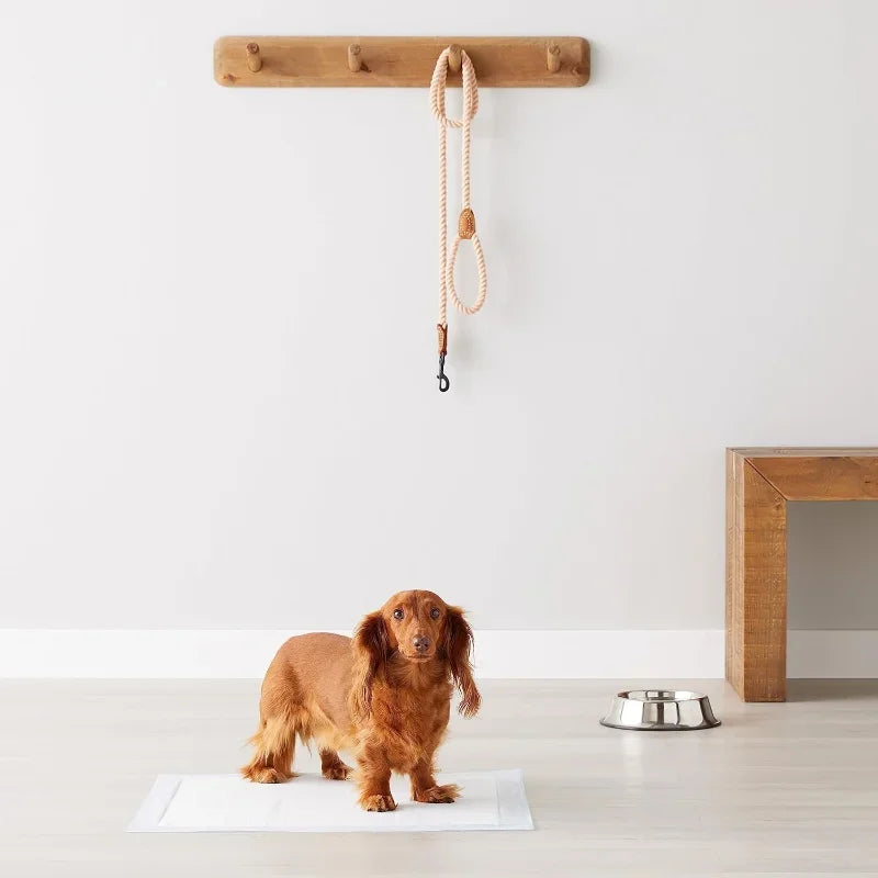 5-Layer Leak-Proof Super Absorbent, Quick-Dry Surface