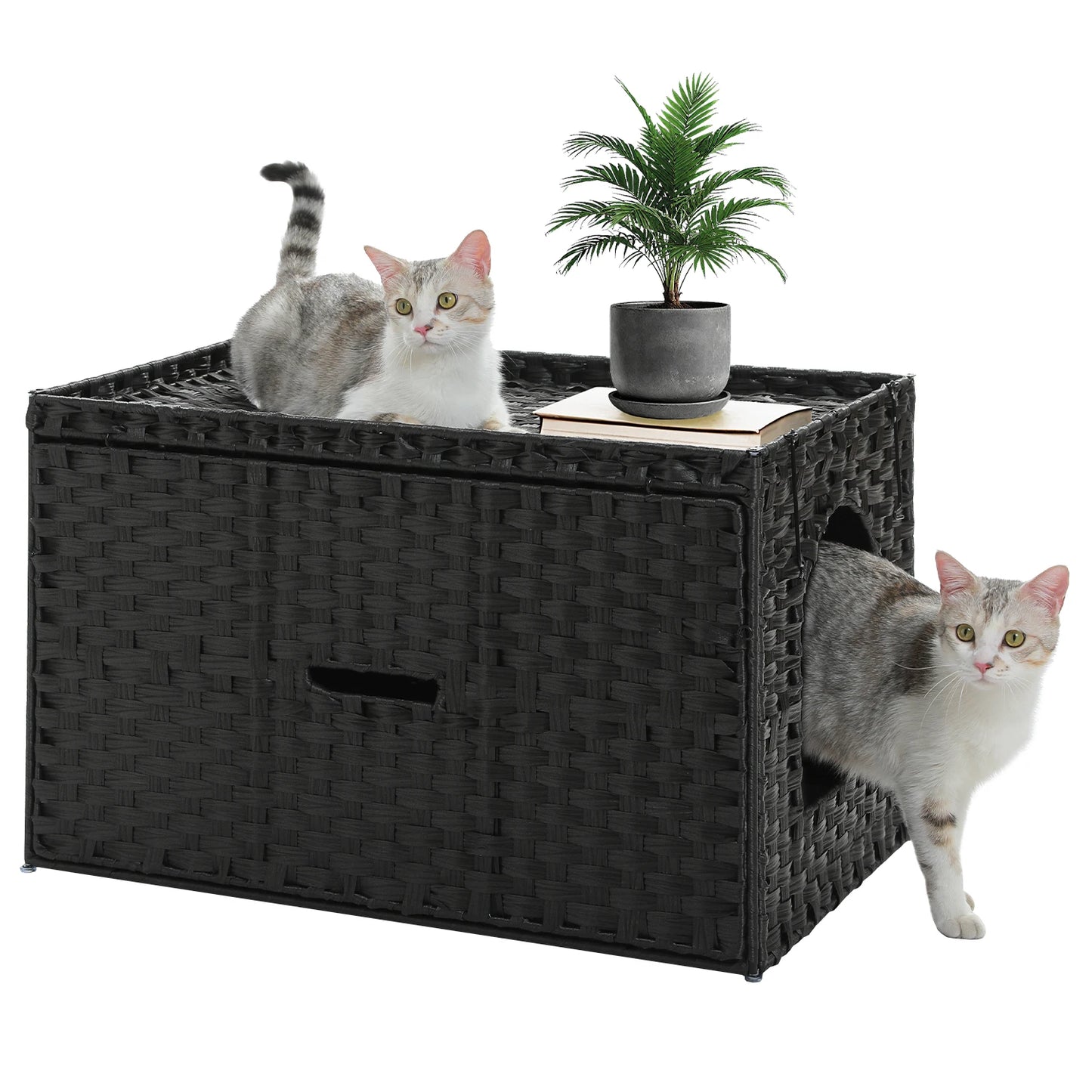 Rattan Cat Litter Box Enclosure: Taller Doorway