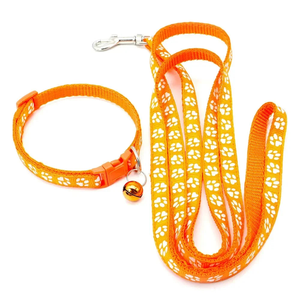Leash Adjustable Collar Printed