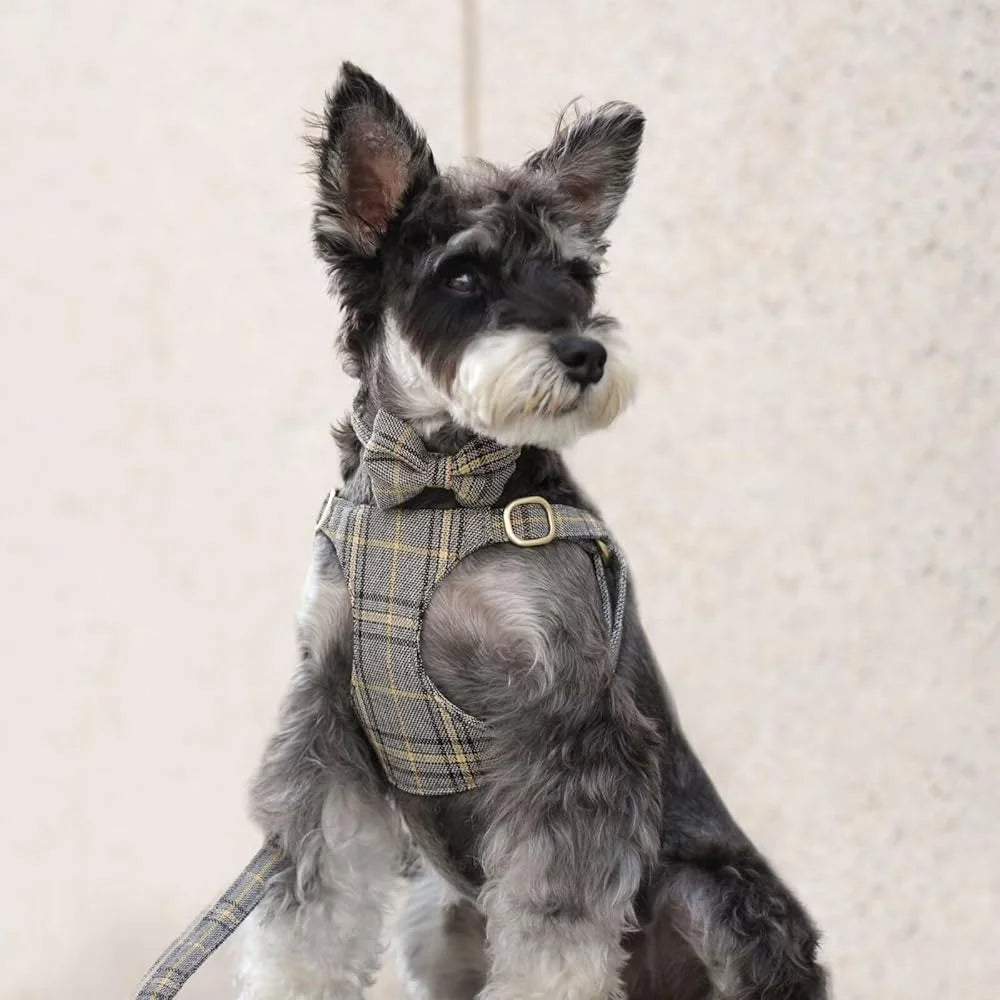 Dog Harness Set Adjustable Plaid Collar Leash Bowtie