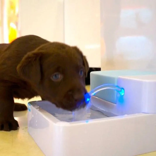 Automatic Water Drinking Fountain Pet Bowl