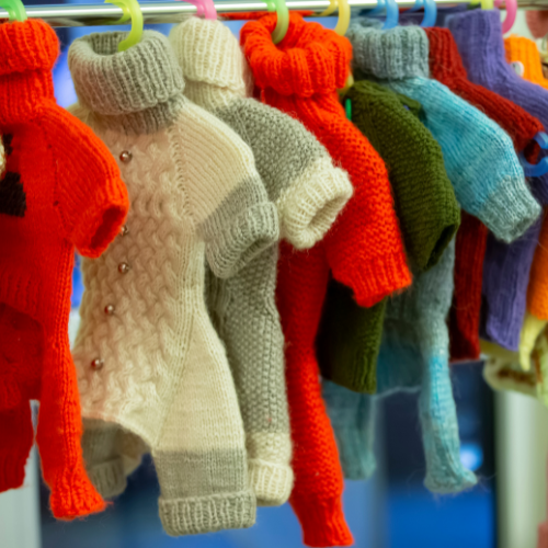 Pet Clothing