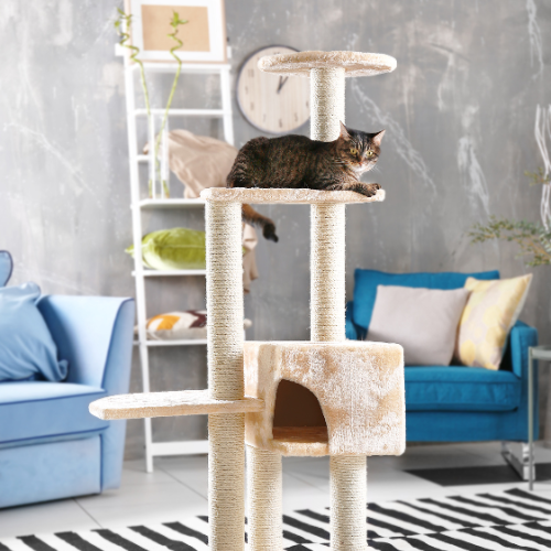 Cat Towers and Scratchers