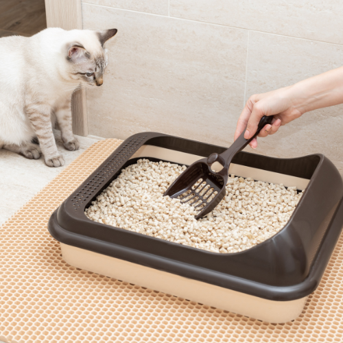 Litter Boxes/Litter and Pee Pads/Holders