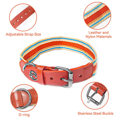 Adjustable Dog Collar and Leash Set