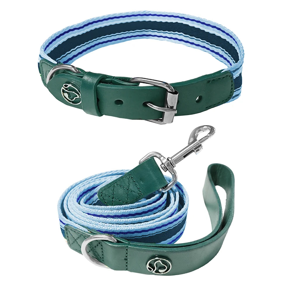 Adjustable Dog Collar and Leash Set