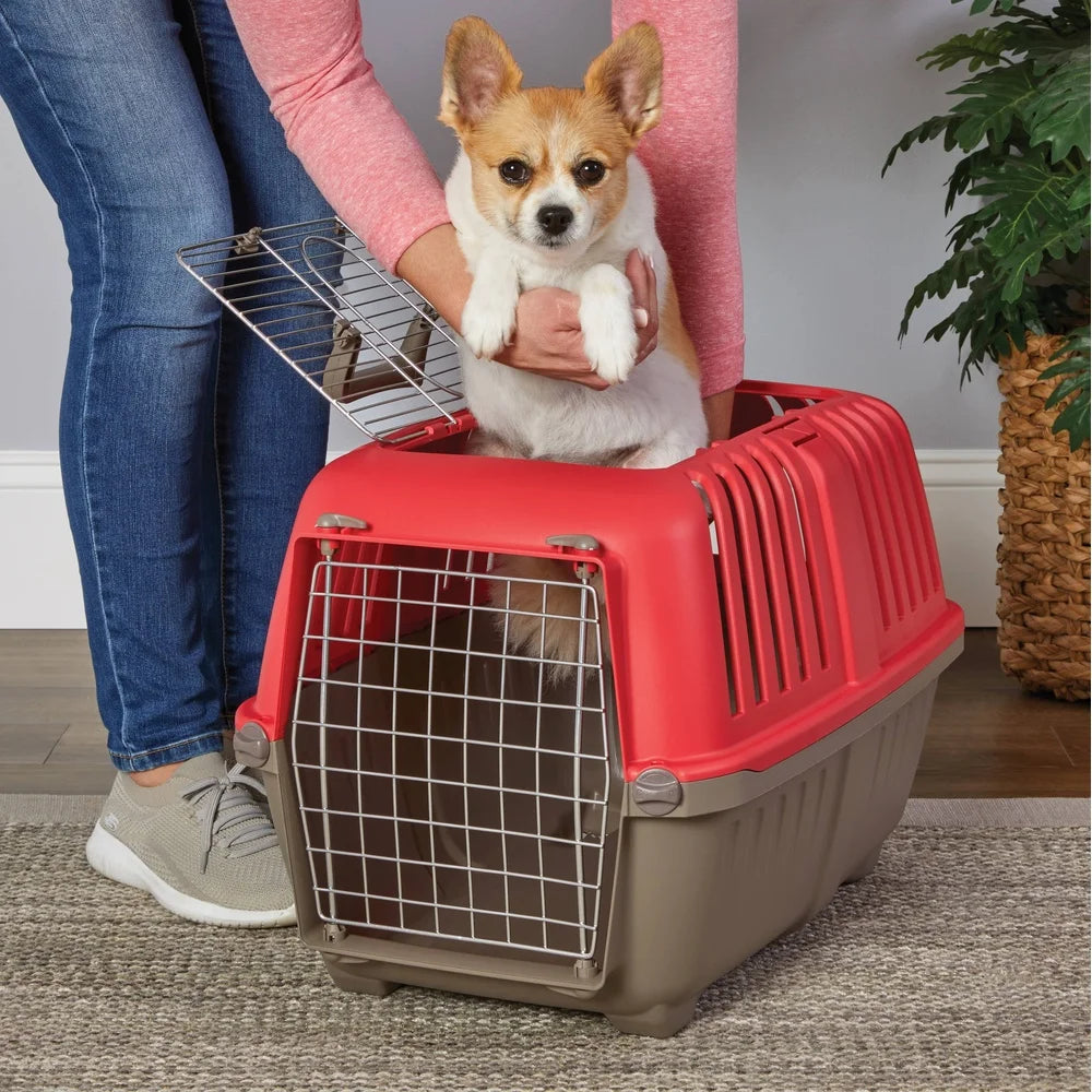 Pet Carrier Small Durable Plastic Travel Carrier
