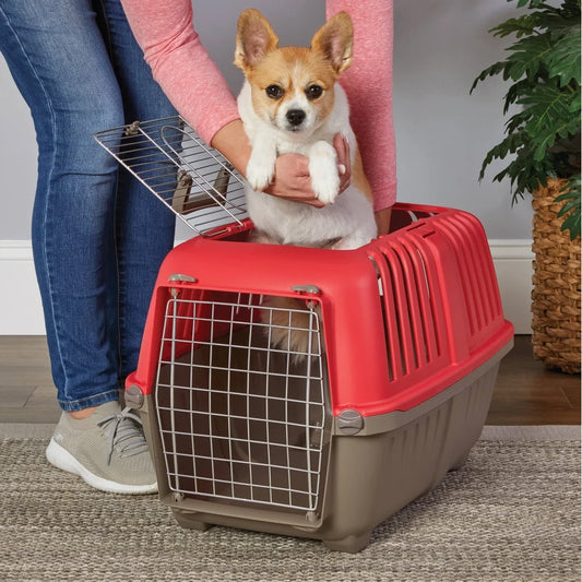 Pet Carrier Small Durable Plastic Travel Carrier