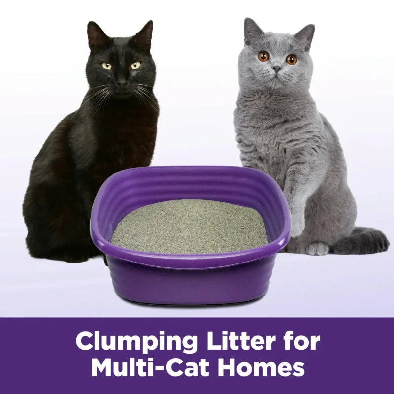 (2 or 1 pack) ARM & HAMMER Clump & Seal SLIDE Cat Litter