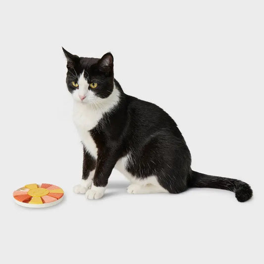 Interactive Cat Treat Puzzle Toy Mental Stimulation