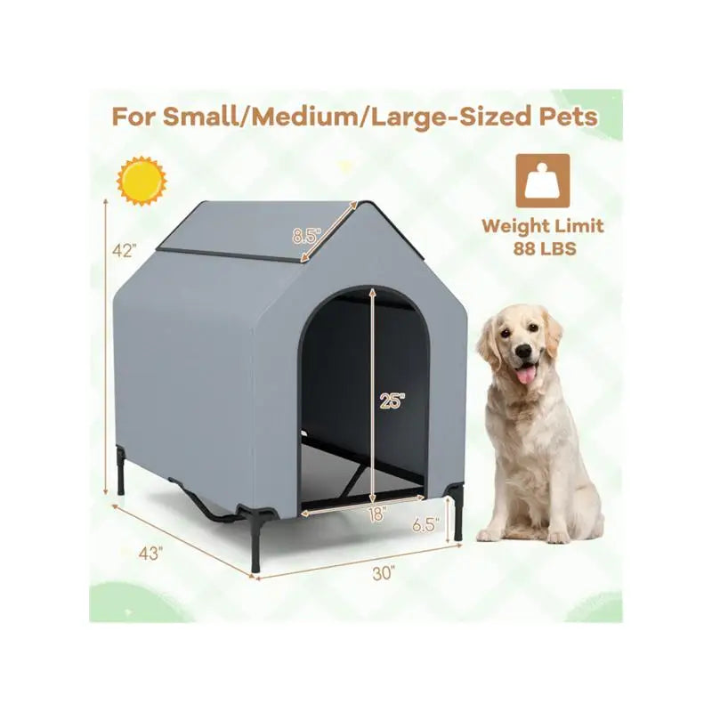 30x43 Pet House with Windows - Cozy Indoor/Outdoor
