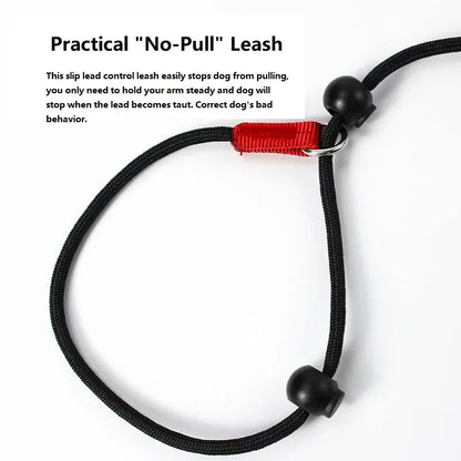 Training P-Shaped Chain Slip Lead Control Leash