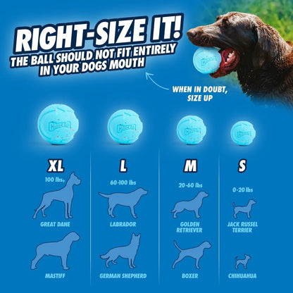 Ecofriendly Rubber Fetch Ball Durable Tear Resistant