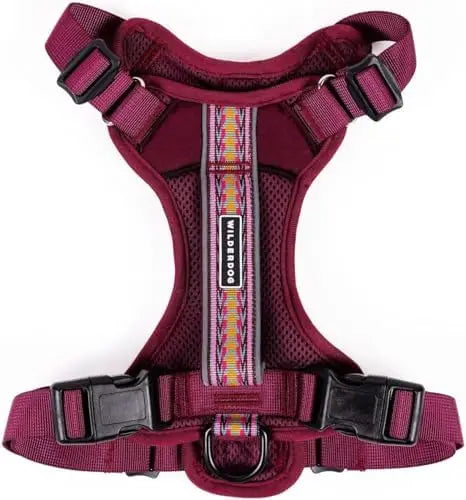 Lightweight Dog Harness  - Reflective Straps Huckleberry
