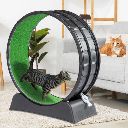 Cat Exercise Treadmill Wheel with Carpeted Runway