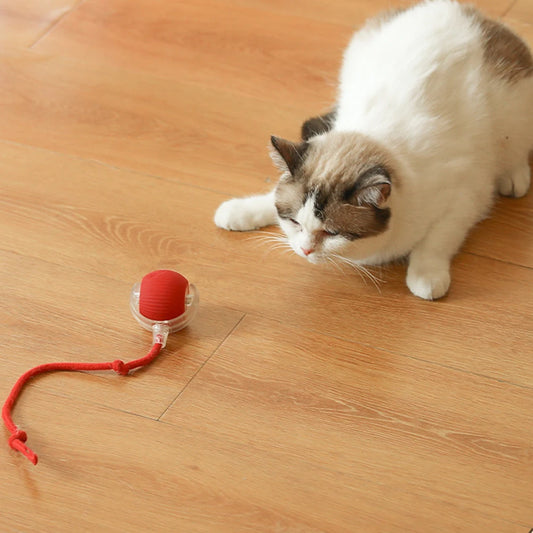 Cat Interactive Rechargeable Automatic Rolling Ball Toy
