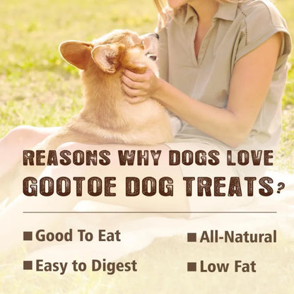 Soft Turkey Tendon Strip 3oz Natural Chewy Snack