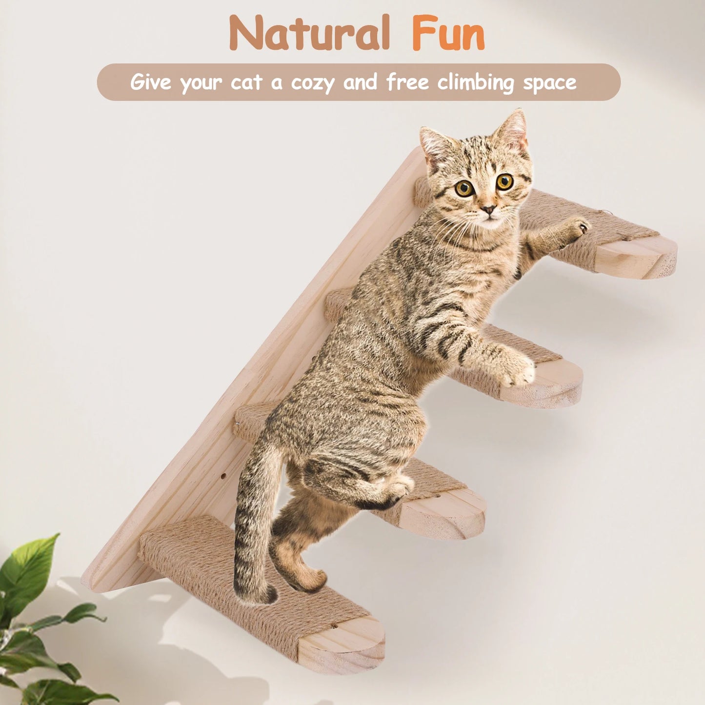 Wall Mounted Cat Climbing Frame for Cats Perch Shelves