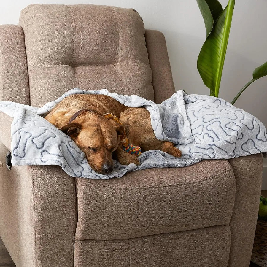 Embossed Bone Print Pet Blanket 36x48", Cozy Comfort